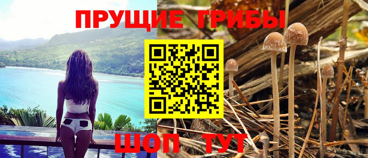 Псилоцибиновые грибы MAGIC MUSHROOMS  Вход с VPN  Биробиджан 