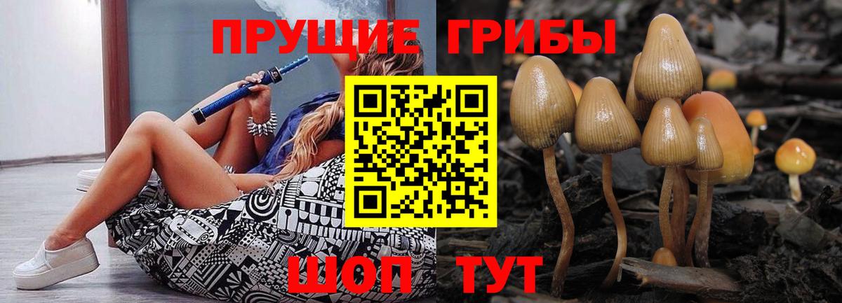 Галлюциногенные грибы MAGIC MUSHROOMS Биробиджан